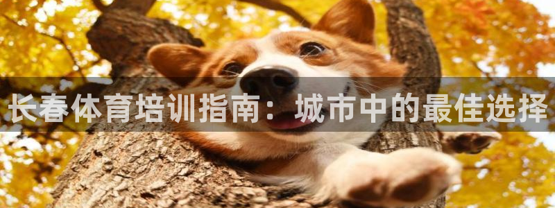 欧陆娱乐怎么注册帐号登录：长春体育培训指南：城市中的