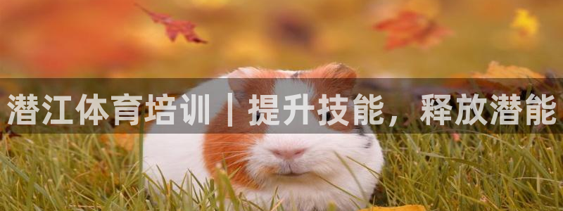 重庆欧陆娱乐有限公司电话：潜江体育培训｜提升技能，释