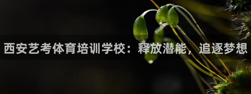欧陆官网下载：西安艺考体育培训学校：释放潜能，追逐梦