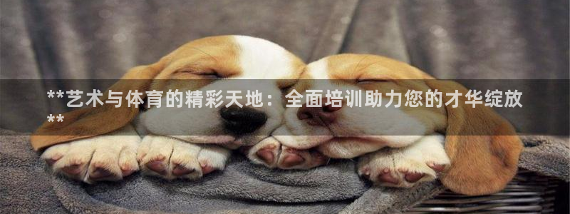 欧陆娱乐招商主管：**艺术与体育的精彩天地：全面培训