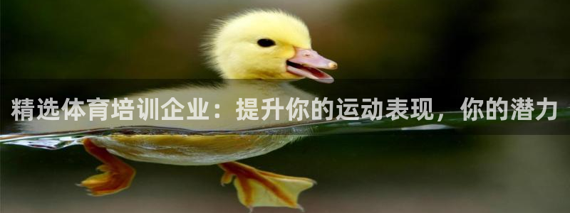 欧陆娱乐提现多久到账：精选体育培训企业：提升你的运动
