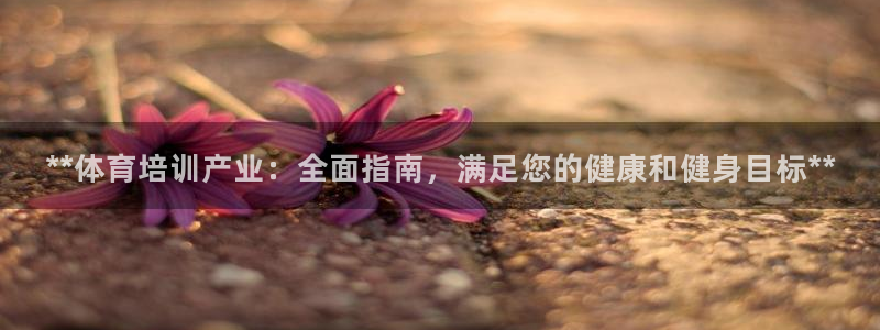 欧陆娱乐试玩官网：**体育培训产业：全面指南，满足您