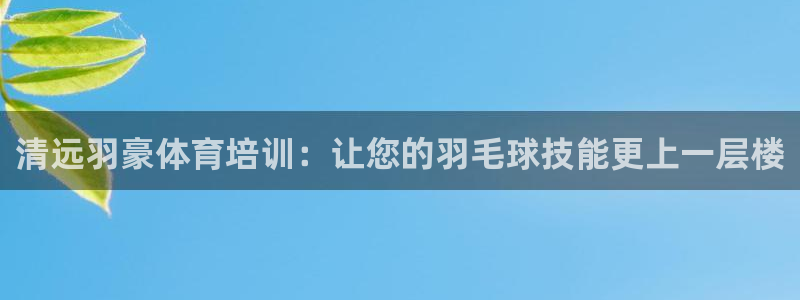 欧陆娱乐登录官网：清远羽豪体育培训：让您的羽毛球技能