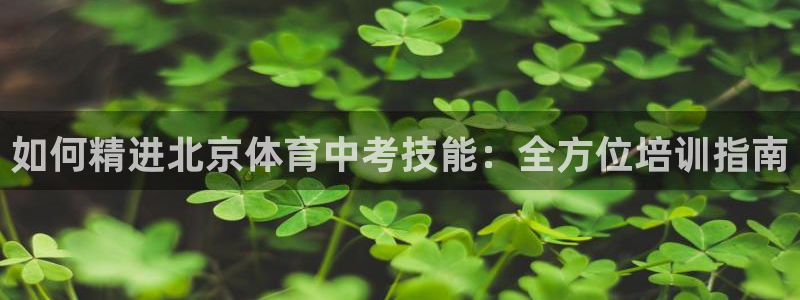 欧陆娱乐安全?：如何精进北京体育中考技能：全方位培训