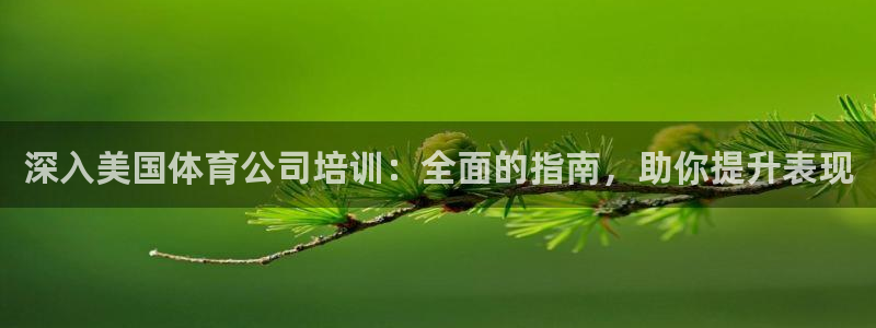 欧陆娱乐注册链接：深入美国体育公司培训：全面的指南，