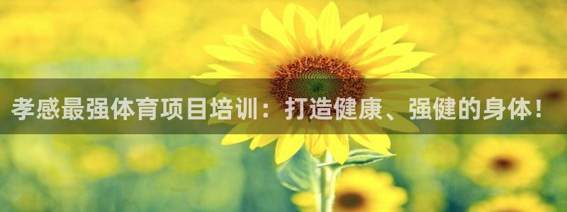 欧陆娱乐是真的假的：孝感最强体育项目培训：打造健康、