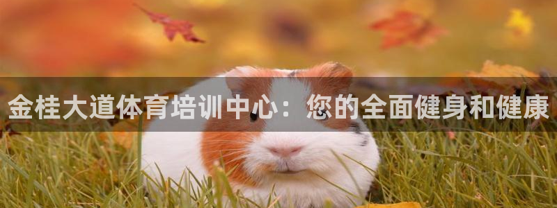 欧陆娱乐官网注册中心：金桂大道体育培训中心：您的全面