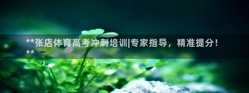 欧陆娱乐代理多少个点位可以赚钱：**张店体育高考冲刺