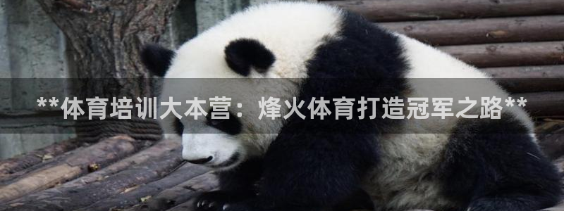 欧陆娱乐的故事：**体育培训大本营：烽火体育打造冠军
