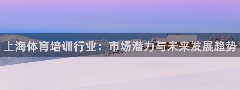 欧陆注册码：上海体育培训行业：市场潜力与未来发展趋势