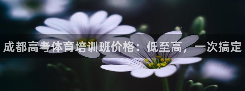 欧陆娱乐公司产品介绍大全
