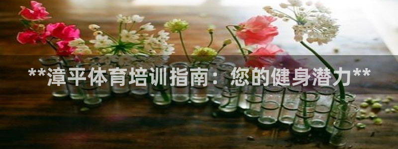 欧陆娱乐平台咋样啊：**漳平体育培训指南：您的健身潜