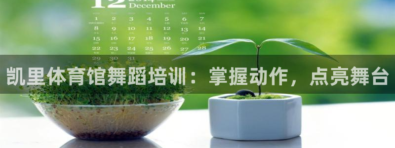 欧陆娱乐挂机项目：凯里体育馆舞蹈培训：掌握动作，点亮