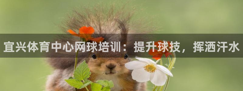 欧陆娱乐平台咋样啊：宜兴体育中心网球培训：提升球技，