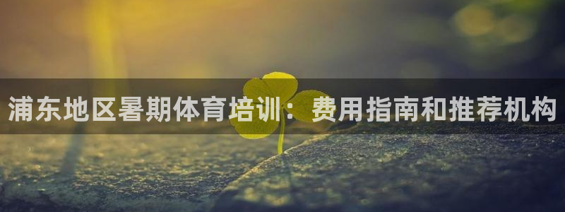 欧陆娱乐天富主管：浦东地区暑期体育培训：费用指南和推