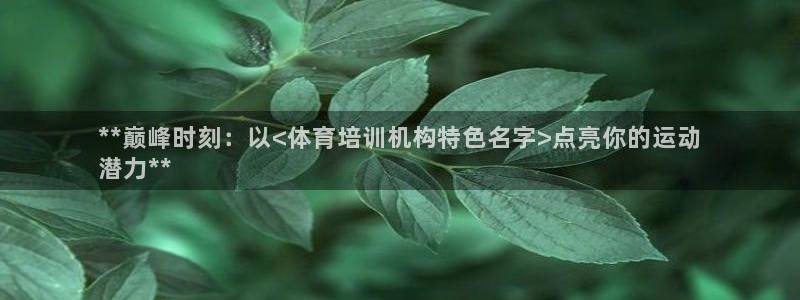 欧陆娱乐简介