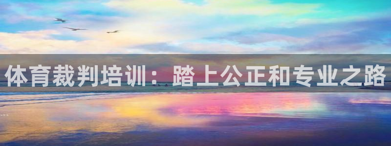 欧陆娱乐登录官网：体育裁判培训：踏上公正和专业之路
