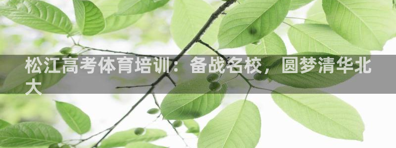 欧陆娱乐官方：松江高考体育培训：备战名校，圆梦清华北