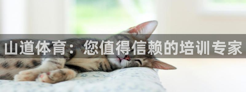 欧陆娱乐有限公司官网：山道体育：您值得信赖的培训专家
