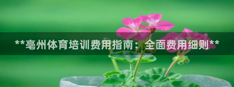 欧陆娱乐太阳：**亳州体育培训费用指南：全面费用细则