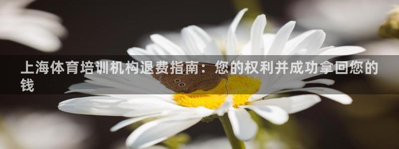 欧陆娱乐app攻略大全：上海体育培训机构退费指南：您