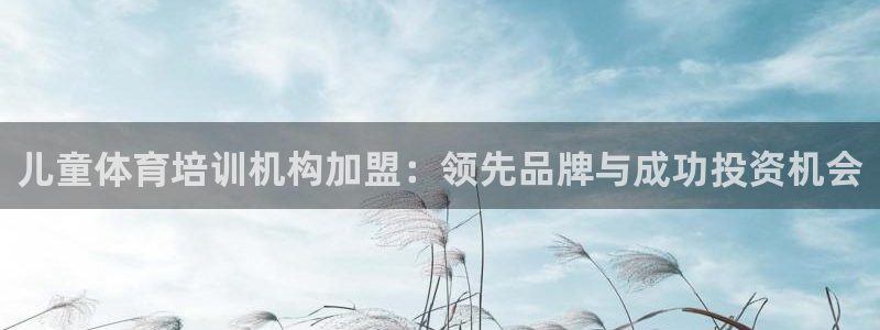 欧陆娱乐欢迎访问：儿童体育培训机构加盟：领先品牌与成