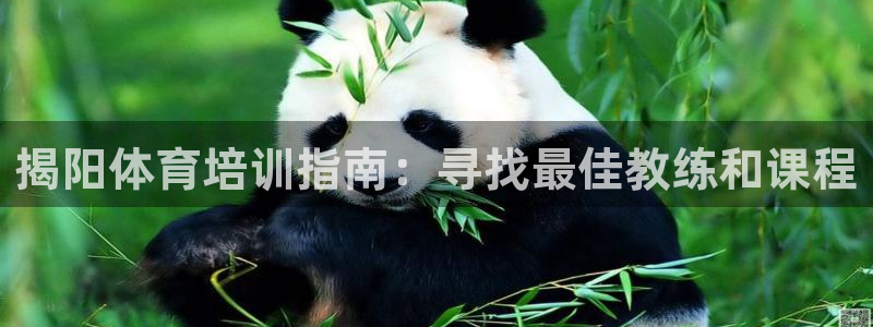 欧陆娱乐代理 贴吧：揭阳体育培训指南：寻找最佳教练和