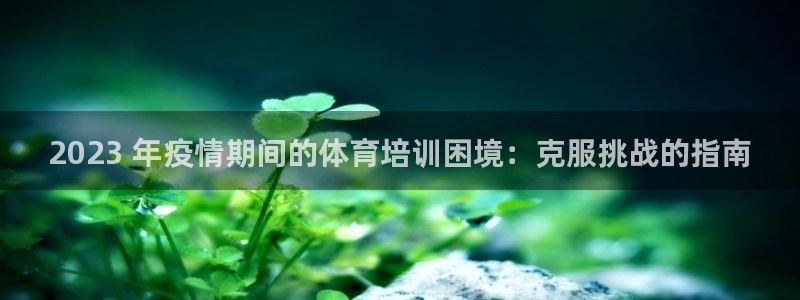 欧陆公司在哪里：2023 年疫情期间的体育培训困境：