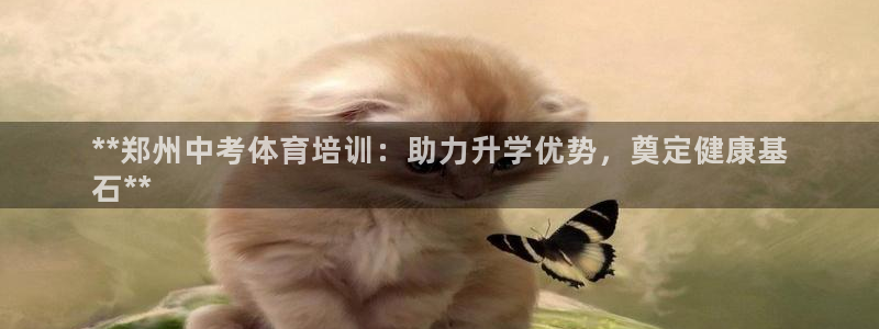 欧陆娱乐总代理：**郑州中考体育培训：助力升学优势，