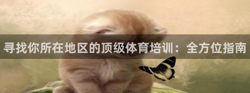 欧陆论坛：寻找你所在地区的顶级体育培训：全方位指南