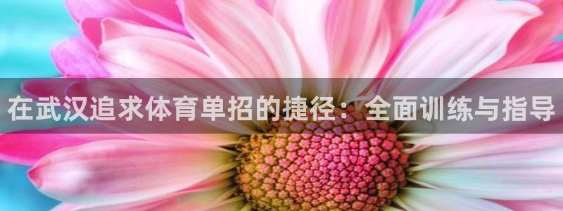 欧陆娱乐是正规吗?：在武汉追求体育单招的捷径：全面训