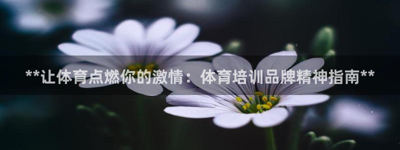 欧陆娱乐登录注册平台有哪些：**让体育点燃你的激情：