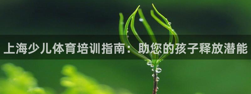 欧陆娱乐平台总代理：上海少儿体育培训指南：助您的孩子
