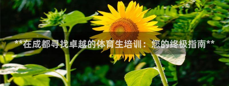 重庆欧陆娱乐有限公司怎么样