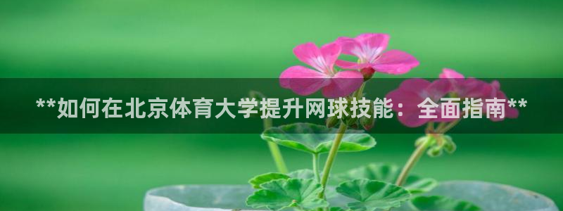 欧陆娱乐脚本下载：**如何在北京体育大学提升网球技能