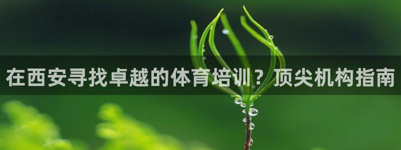欧陆娱乐欢迎访问：在西安寻找卓越的体育培训？顶尖机构