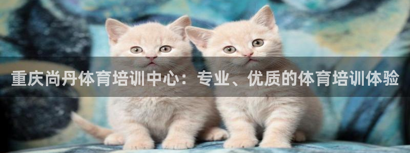 欧陆娱乐注册代理多少钱：重庆尚丹体育培训中心：专业、