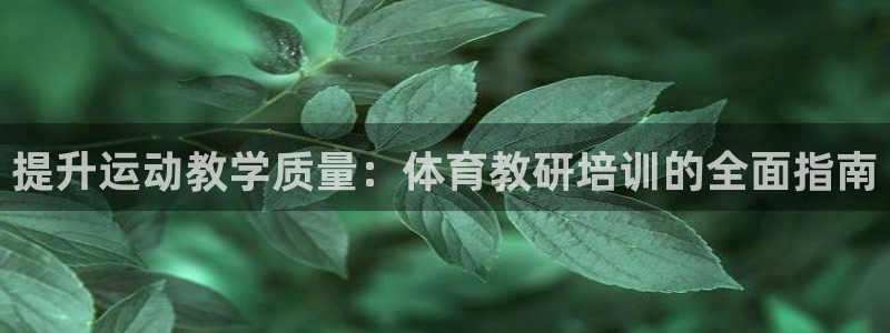 欧陆娱乐官网首页下载：提升运动教学质量：体育教研培训的全面指