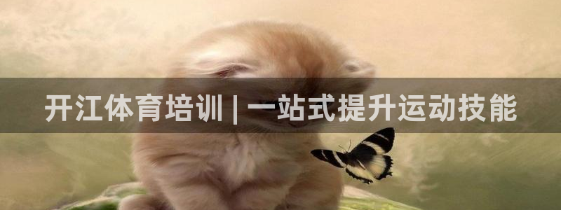欧陆娱乐安全?：开江体育培训 | 一站式提升运动技能