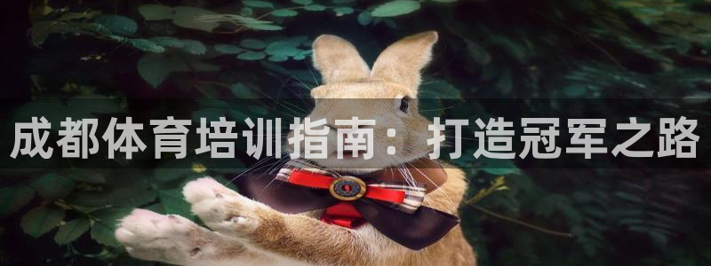 欧陆娱乐官网入口：成都体育培训指南：打造冠军之路