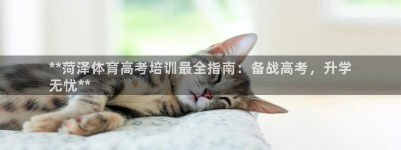 欧陆娱乐平台官网下载：**菏泽体育高考培训最全指南：