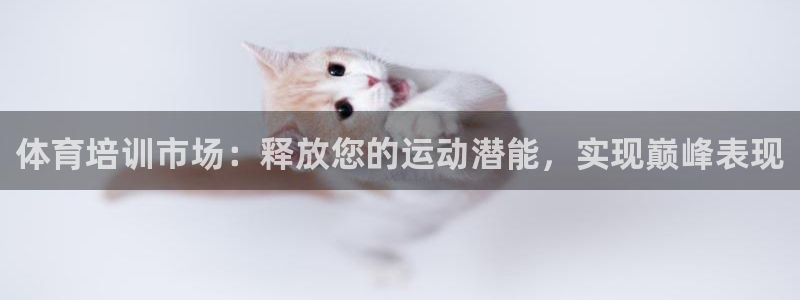 欧陆娱乐平台登录不上怎么回事：体育培训市场：释放您的