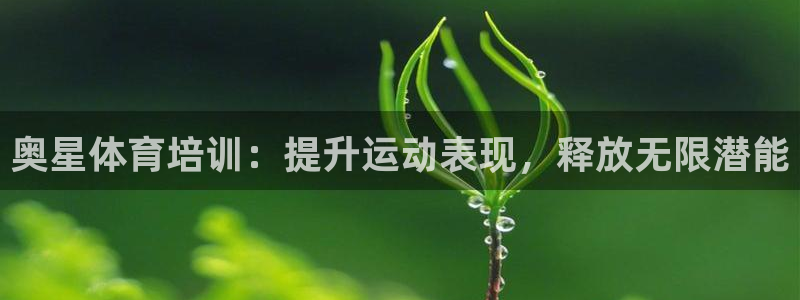 欧陆娱乐客服电话：奥星体育培训：提升运动表现，释放无