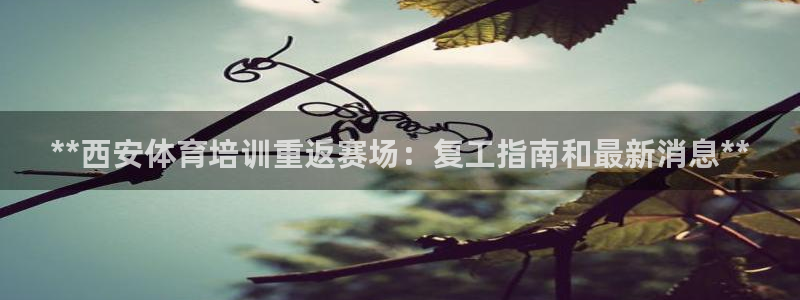 欧陆娱乐客服：**西安体育培训重返赛场：复工指南和最