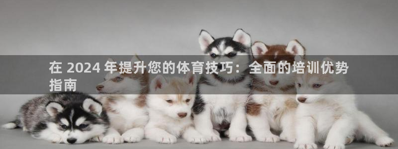 欧陆娱乐出款了吗：在 2024 年提升您的体育技巧：全面的培