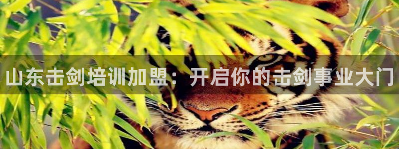 欧陆娱乐是正规平台吗安全吗可靠吗可信吗：山东击剑培训