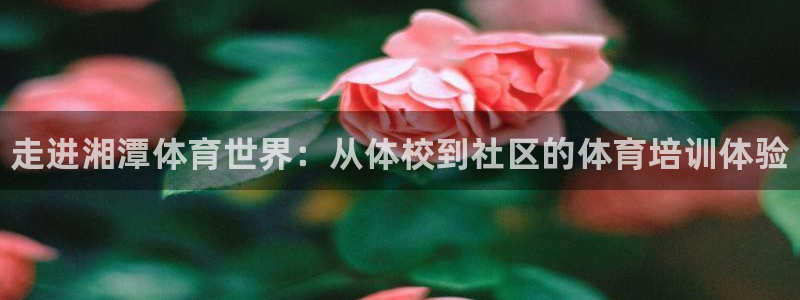 欧陆娱乐官网注册中心