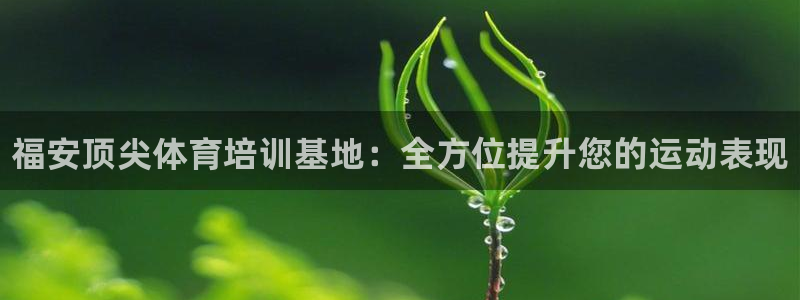 欧陆娱乐群里怎么进：福安顶尖体育培训基地：全方位提升
