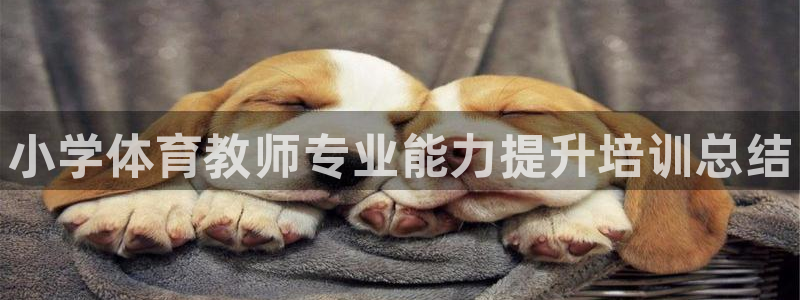 欧陆娱乐官网入口网址：小学体育教师专业能力提升培训总