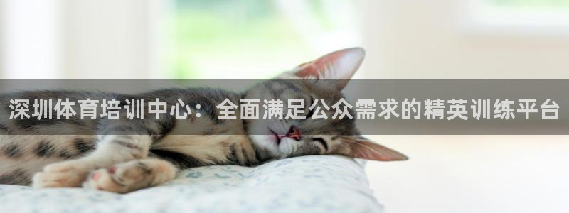 欧陆娱乐测速软件下载